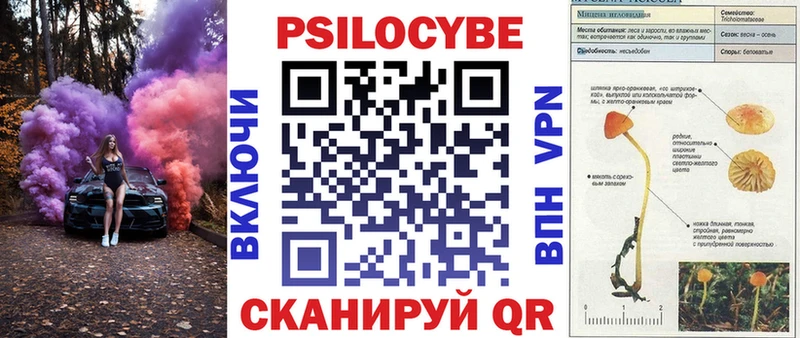MEGA как войти  Кандалакша  Галлюциногенные грибы мухоморы  цены наркотик 
