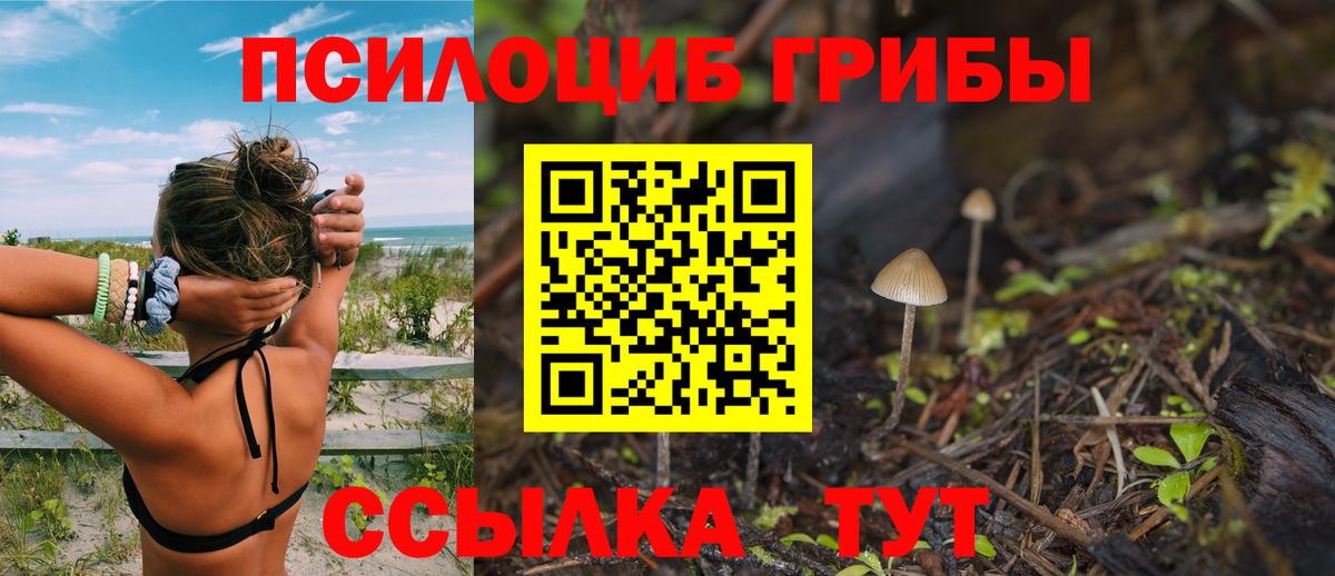 Псилоцибиновые грибы Magic Shrooms  Вход с VPN  Кандалакша 
