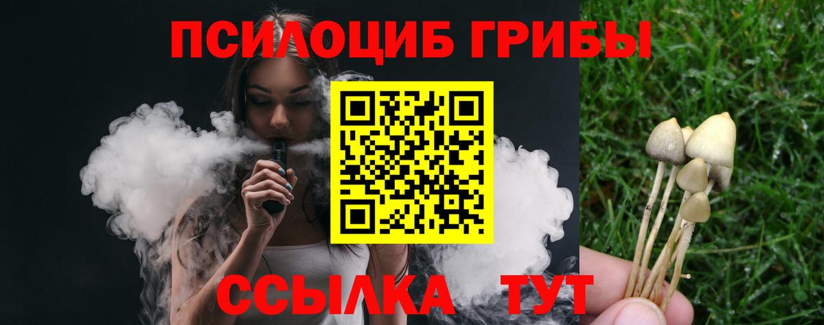 Псилоцибиновые грибы Cubensis Кандалакша