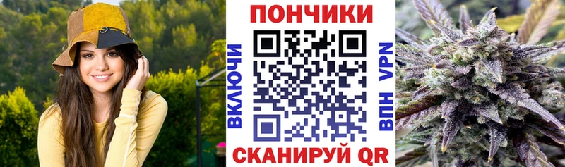 Бошки Шишки план  Кандалакша 